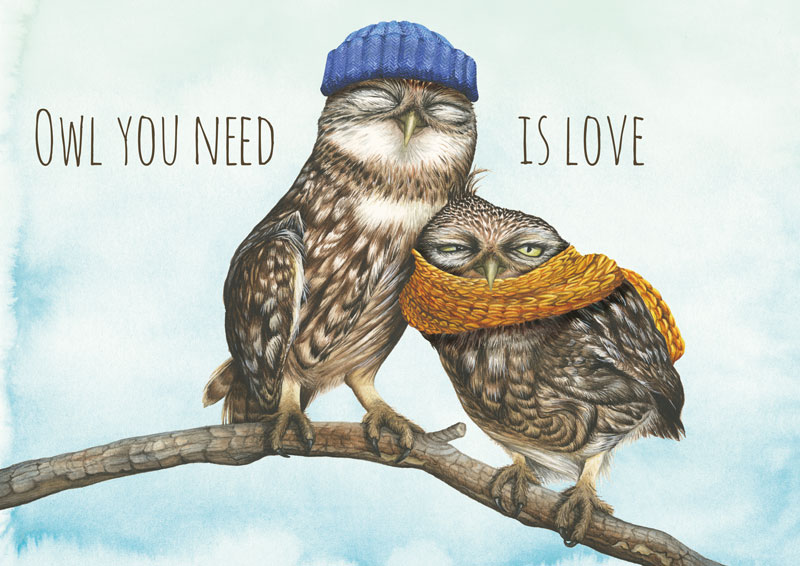 zwei Steinkaeuzchen kuscheln, owl you need ist love